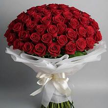 Букет 101 Красная роза Блэк Мэджик в Славске