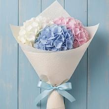 Букет цветов из:  Гортензия в Славске