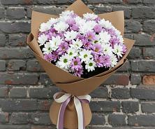 Букет цветов из:  Хризантемы #REPLACE_PRED# Славске