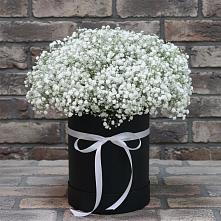 Цветочная композиция из Гипсофила в шляпной коробке в Славске